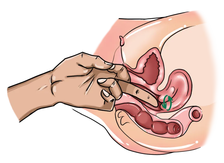Используем технику Cervix Twirl, осторожно достигая пальцем шейки матки партнёрши и вращая вокруг нее, чтобы создать глубокую, интенсивную стимуляцию.
