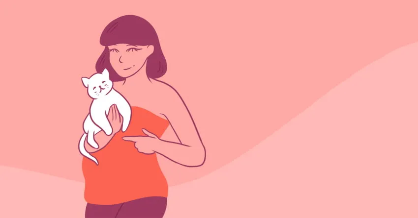 нельзя заводить кошку