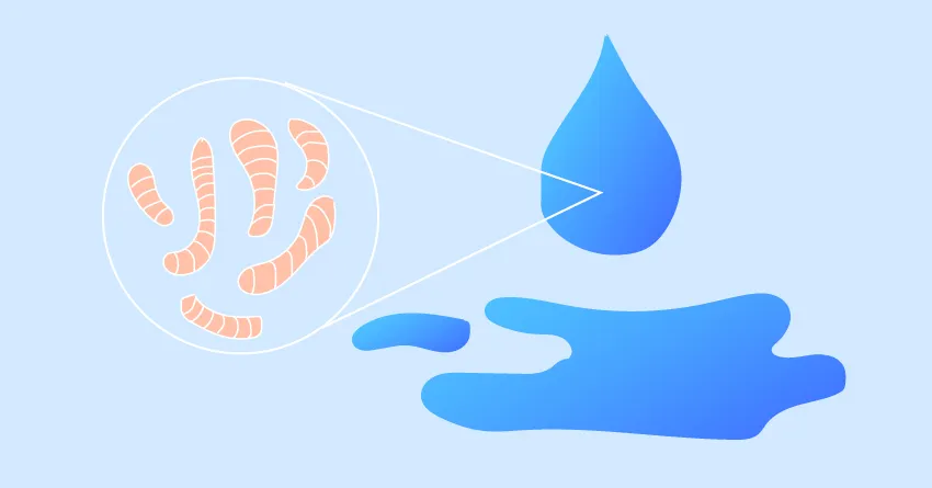 заразиться болезнью легионеров