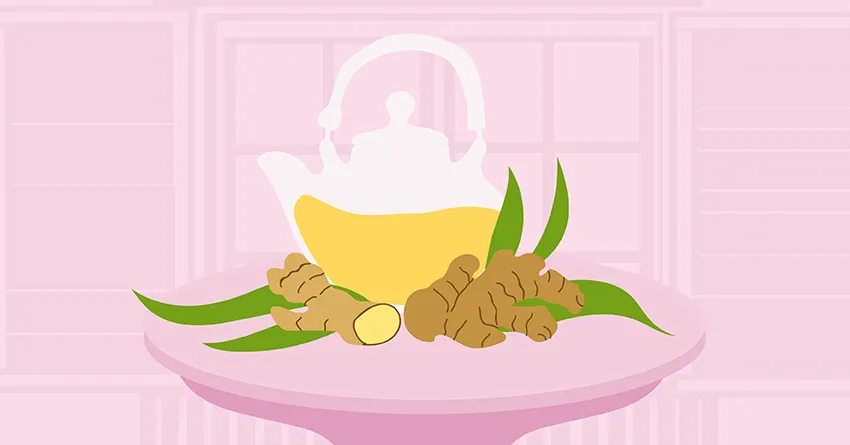 Травы и фитотерапия