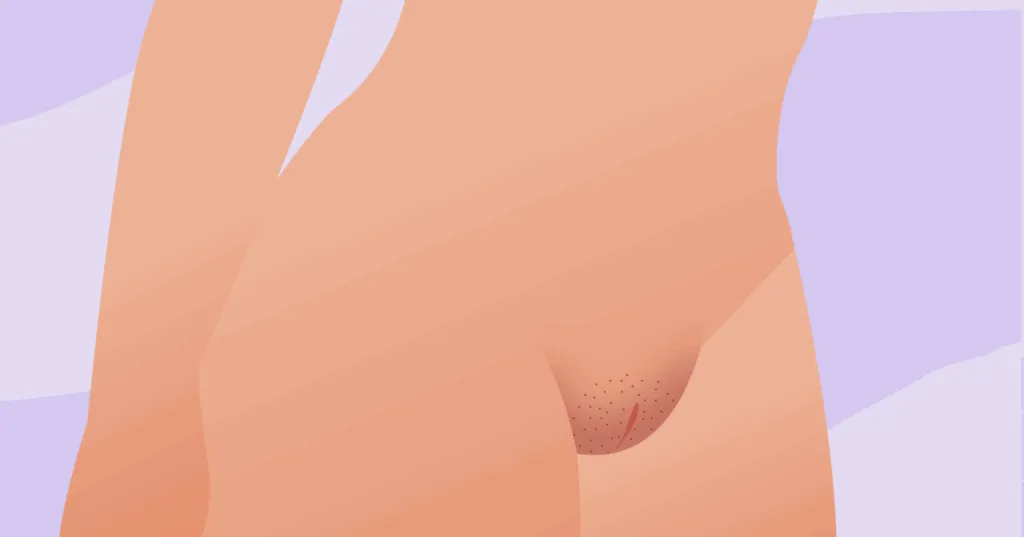 нормальны ли мои половые губы