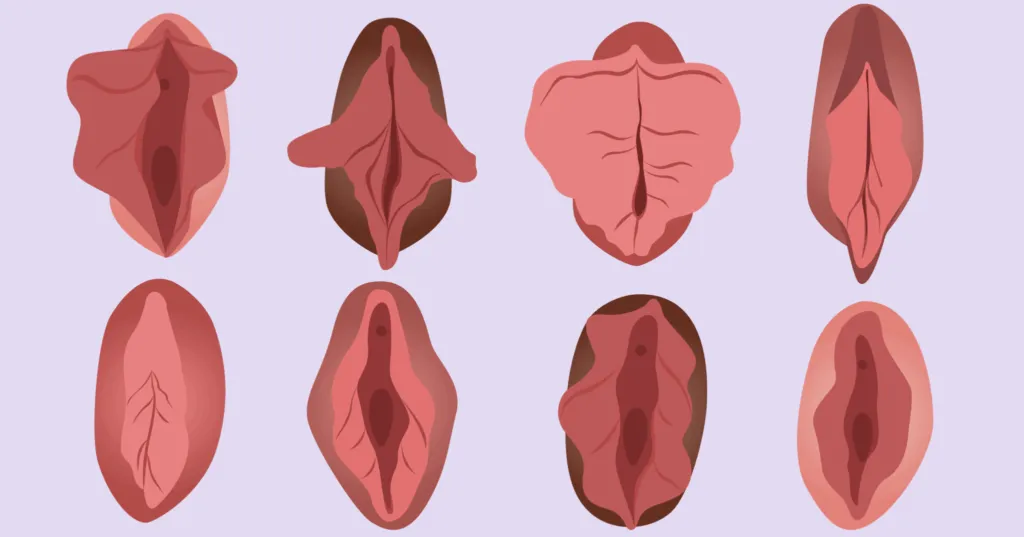 Дополнительные характеристики половых губ