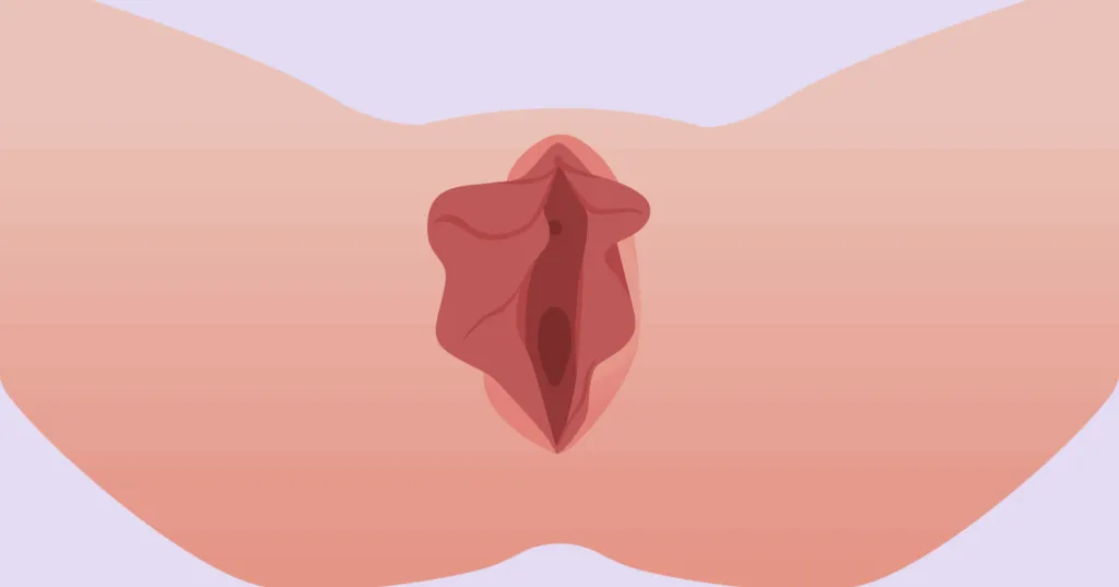 Асимметричные внутренние губы