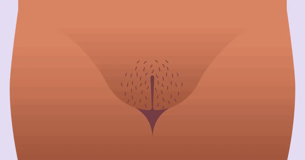 Маленькие закрытые внешние губы