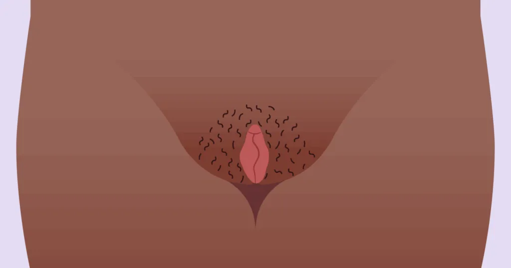 Маленькие открытые внешние губы