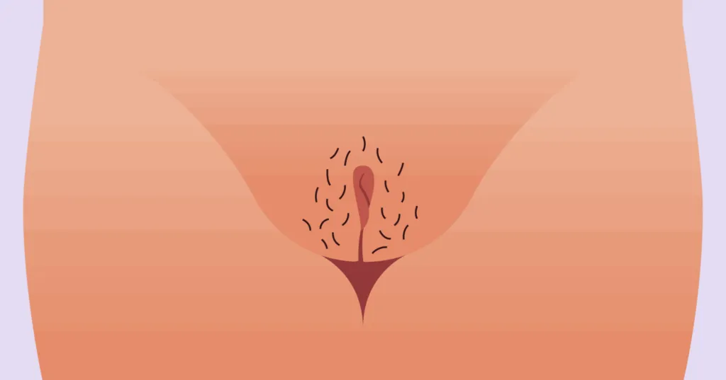 Изогнутые внешние губы