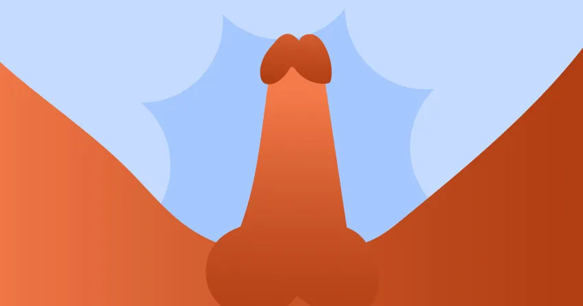 Большая головка и узкий ствол