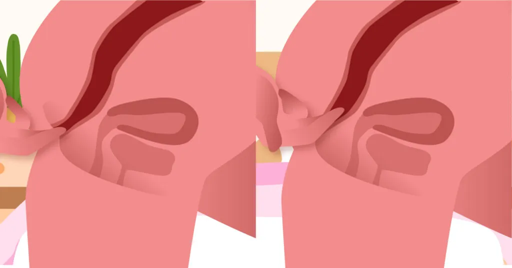 Внутрь и наружу